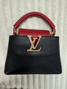 Pre-owned Louis Vuitton calfskin Tote Bags Multicolor Taurillon Leather Capucines Bag