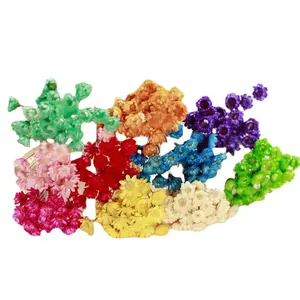 Handmade Dried Flower Materials for Lipstick and Floral Crafts
