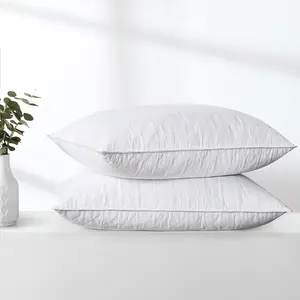 PEACE NEST 2 Pack White Goose Feather Pillows with Downproof Cover Standard Machine Washable for Back and Side Sleepers