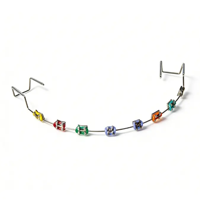 Decorative Braces Kit with Colorful Ligature Ties, Stainless Steel Fashion Accessory for Women and Men with Adjustable Wires, Colorful Decorative Braces, Teeth Accessory