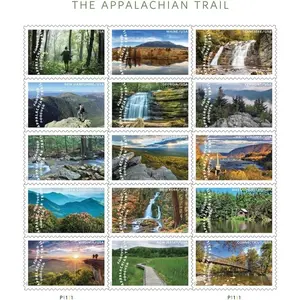 2025 Sheet of 15 First-Class Mail Forever Postage Stamps