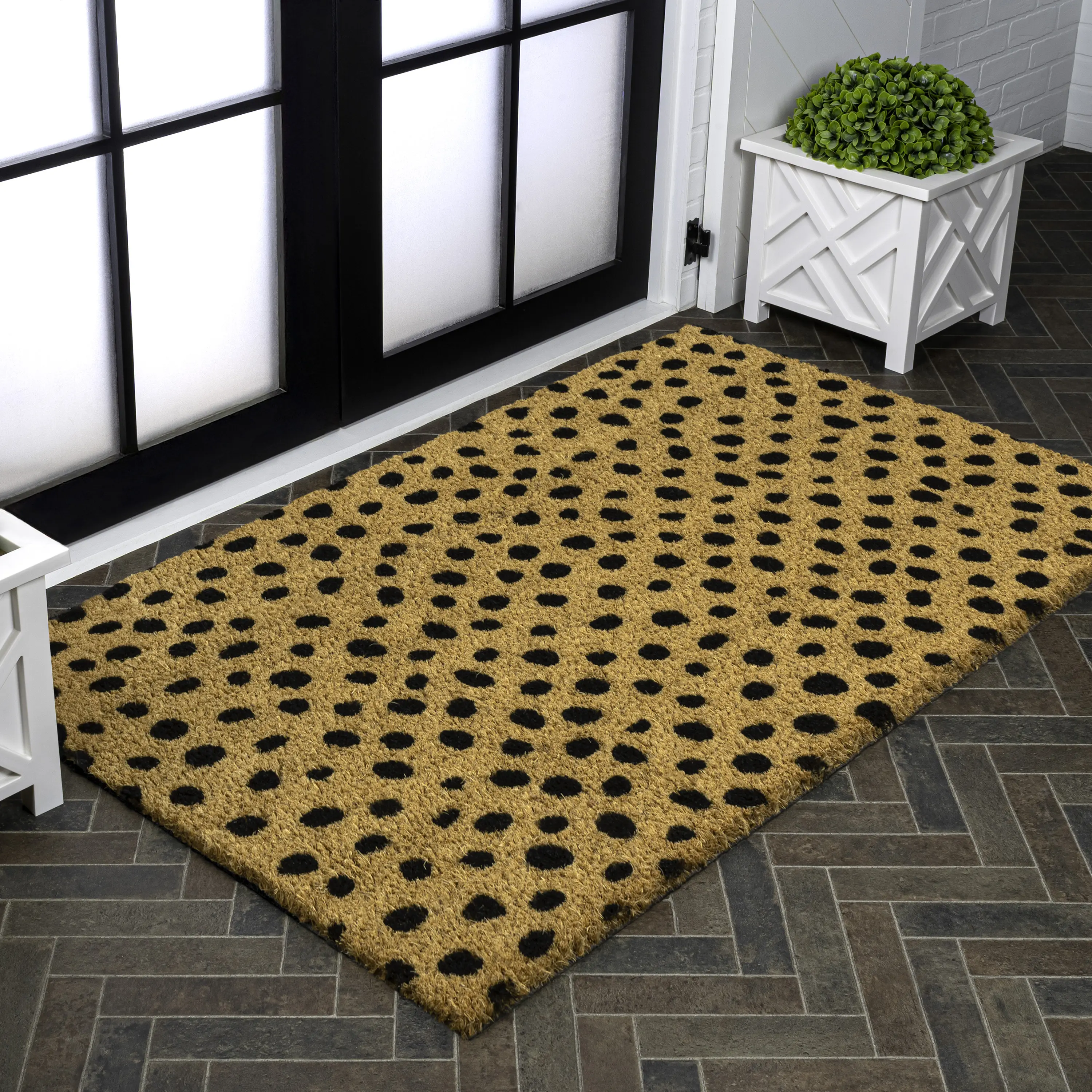Daphne Modern Classic Animal-spot Bordered Coir Area Rug