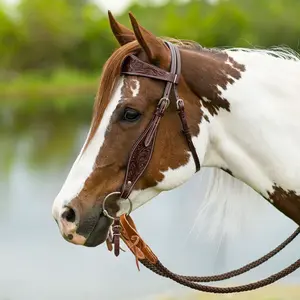 Schneiders Apache Browband Ranch Headstall