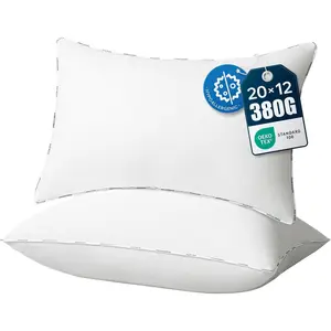 Hypoallergenic Throw Pillows Insert, 100% Virgin Fiber Throw Pillows - Indoor Pillow Inserts Decor Stuffer for Desk Sofa and Couch, Set of 2, 12 x 20