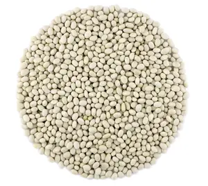 Organic Navy Beans Raw non GMO Vegan Bulk