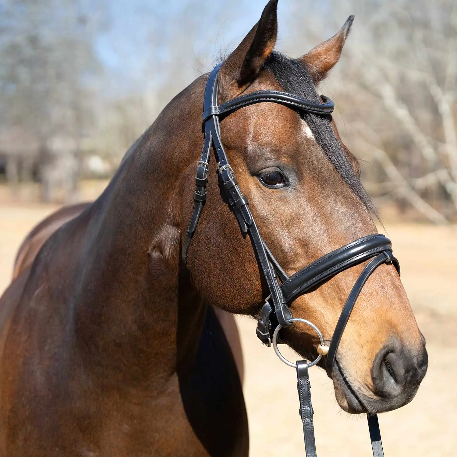 Jeffers Uniquely English "Aachen" Leather Dressage Bridle with Reins for Horses