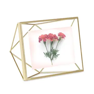 Umbra 4x6 in. Metallic Matte Brass Prisma Photo Frame - Floating Clip, Peel-and-Stick Modern Wall Display, Single Pack Home Decor Frame