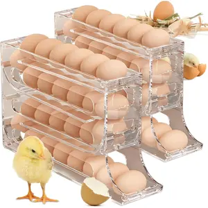 Transparent Egg Holder, 2 Counts 4 Tiers Egg Holder for Fridge, Refrigerator Storage, Auto Rolling Egg Storage Organizer, Space Saving Egg Tray in Kitchen