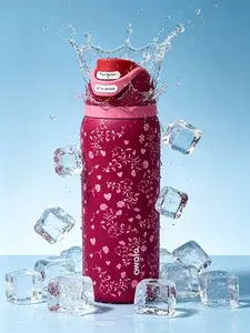 Owala 32oz Insulated Water Bottle 100% Leak Proof Stainless Steel Tumbler Cup Portable Drinkware Flask Mug Stranger Things outdoorfun ai crystal bartender