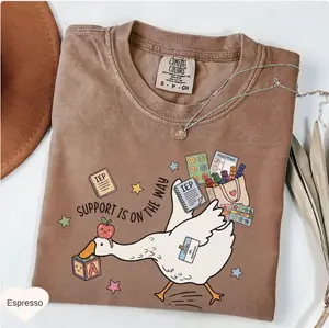 Comfort Colors Silly Goose Special Education Teacher T-Shirt, Funny SPED Teacher Shirt, Special Ed Team Tee, Teacher Appreciation Gift