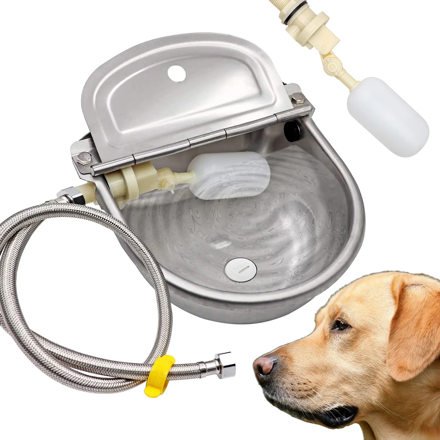 Automatic Water Bowl Dispenser for Dog, Cat, Duck, Chicken, Goat and Small Livestock