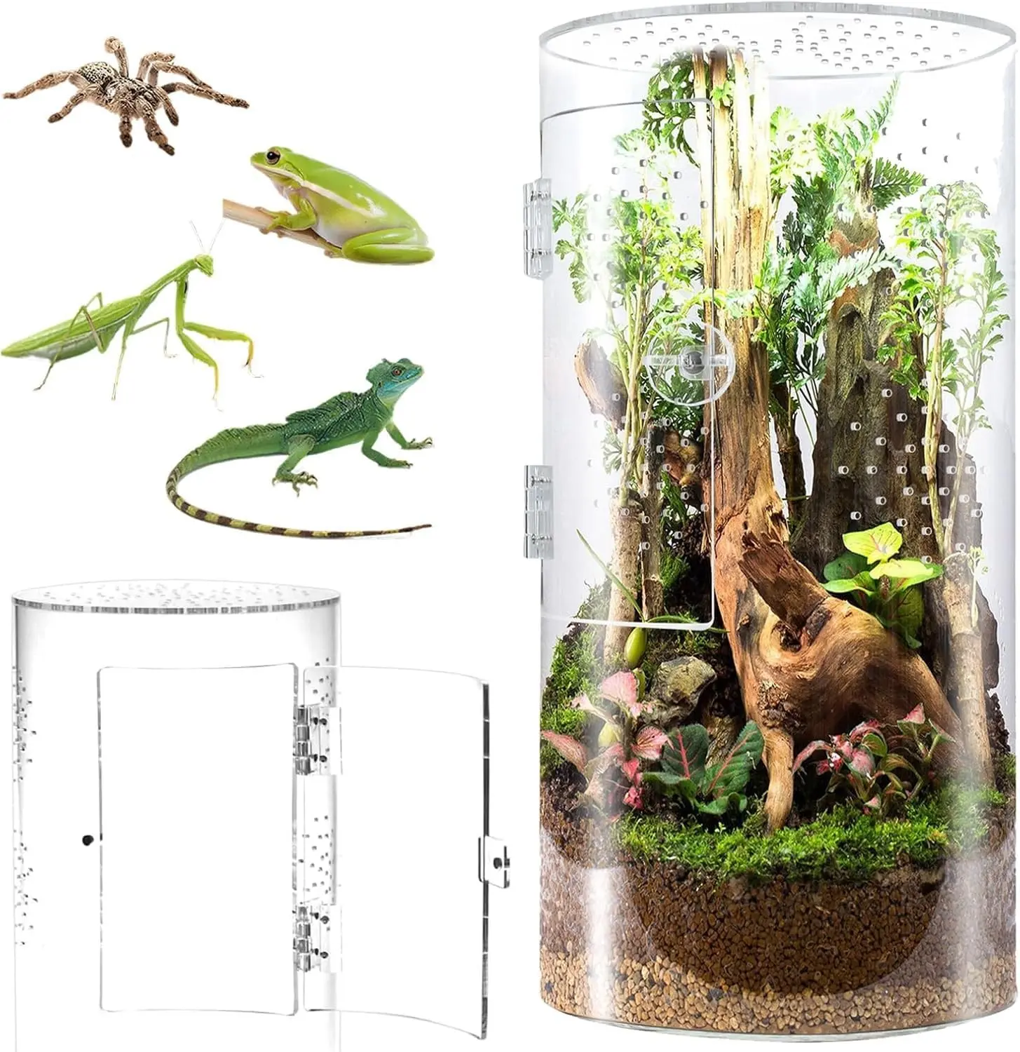 Front Opening Terrarium Jumping Spider Enclosure,Tall Arboreal Tarantula Enclosure Terrarium with Cross Ventilation,Waterproof Acrylic Reptile Enclosure