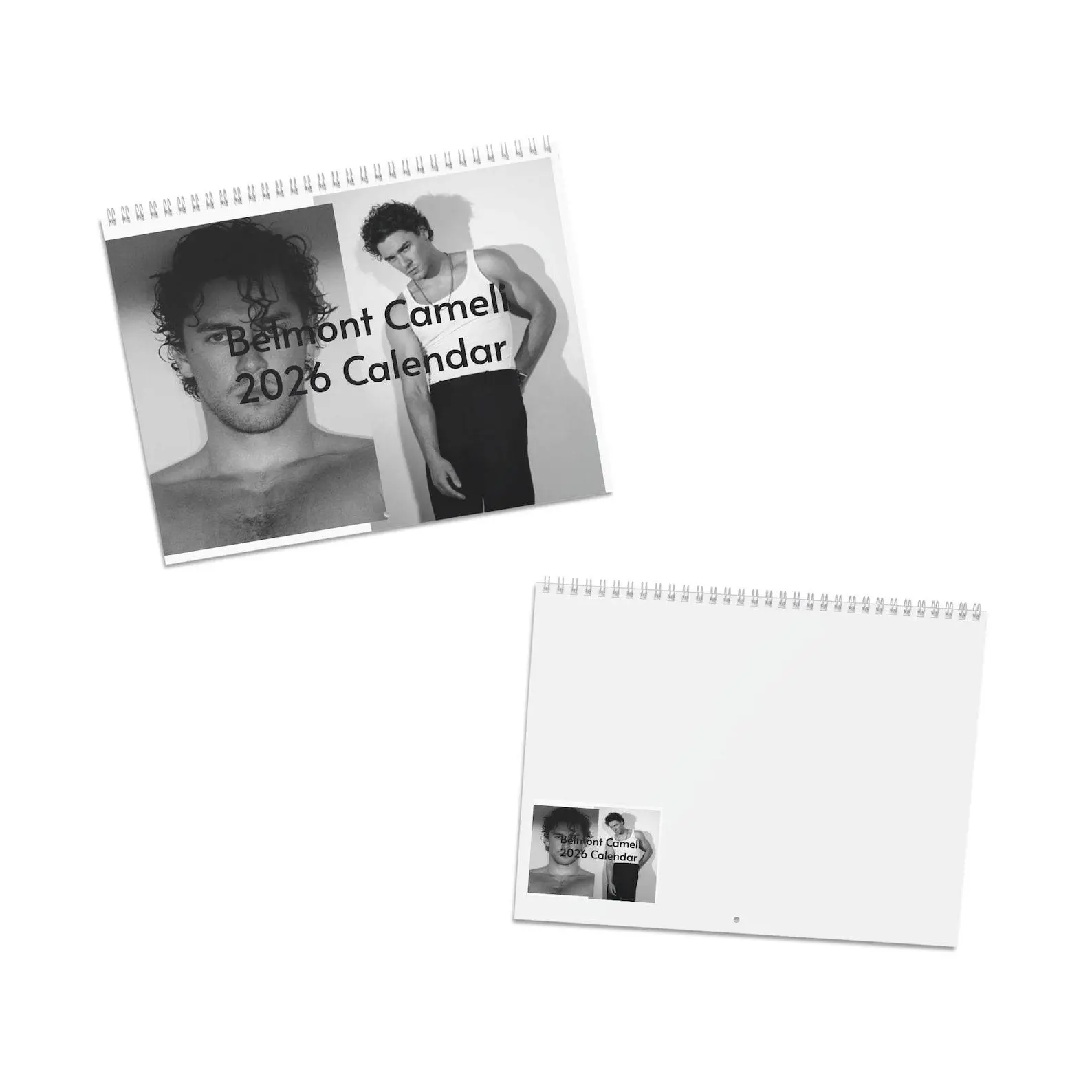 Belmont Cameli 2027 Wall Calendar – 12 Month Celebrity Photo Calendar Aesthetic Room Decor