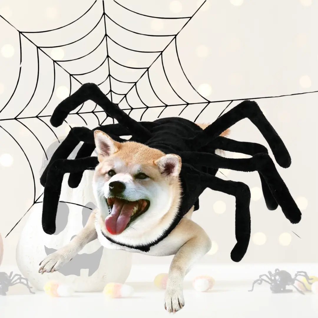 WEKKOPET Spider Condiment Shirts for Pets: Relish T-Shirts for Small and Large Dogs and Cats, Dog Lover Halloween