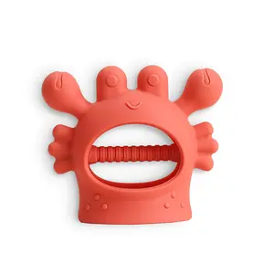 Bitzy Grip™ Silicone Teether