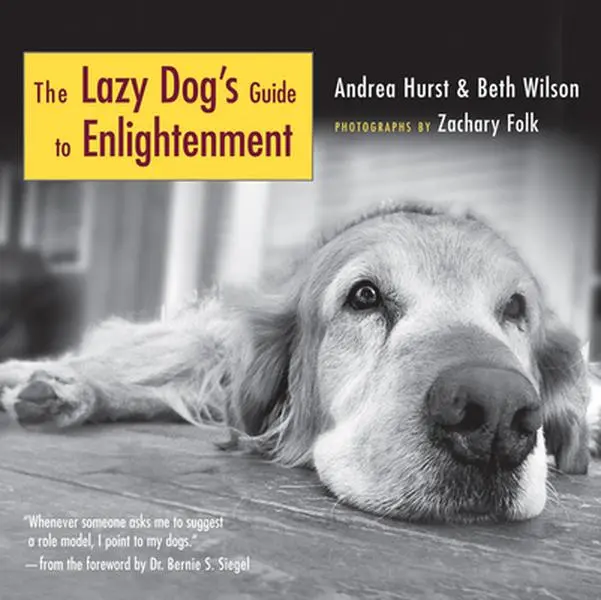 USED-The Lazy Dog's Guide to Enlightenment by Andrea Hurst (Hardcover)