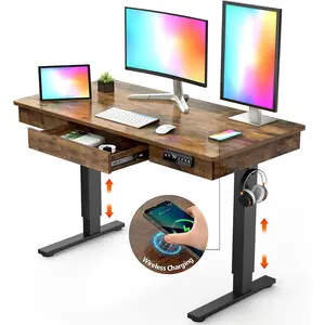 Electric Standing Desk with Drawer,48 x 24 Inches Standing Desk Adjustable Height Desk with 12W Wireless Charging,One-Piece Wooden Desktop Sit Stand Up Desk, Memory Home Office Desks