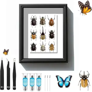 Butterfly Specimen Kit Includes pins, mounting Board, Spreading Tools, Display case, Labels, Forceps, Preserving and showcasing Butterfly specimens.Shadow Boxes (BIACK-01) (WHITE-01)