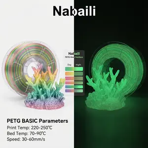 Nabaili 3D Printer Filament High-Quality PETG BASIC Parameters Glow in Dark Smooth Durable Prints 220-250°C for Creative Models