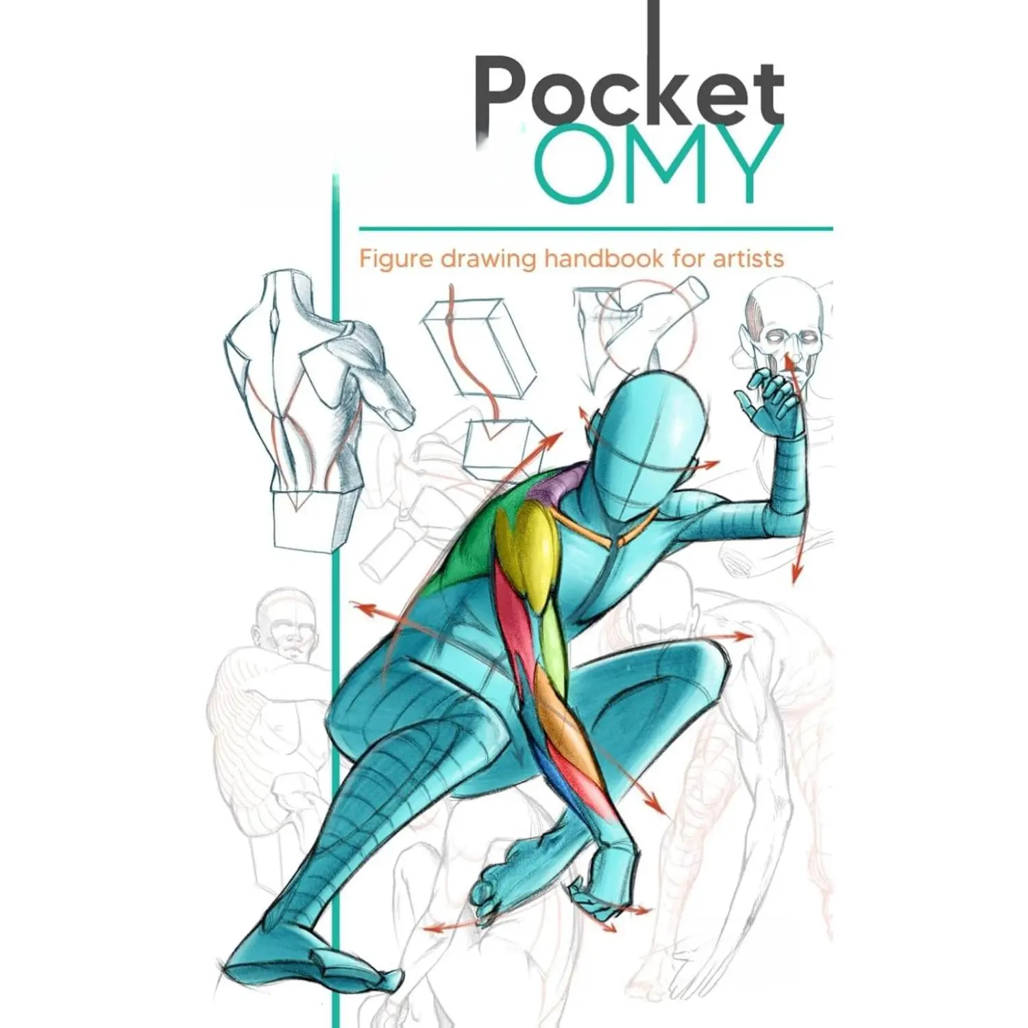 Pocket Anatomy: Figure Drawing Handbook in Color for Artists, Learning How to Draw Human Body by Simplifying the Complex Structures of the Body and Understanding the Human Form