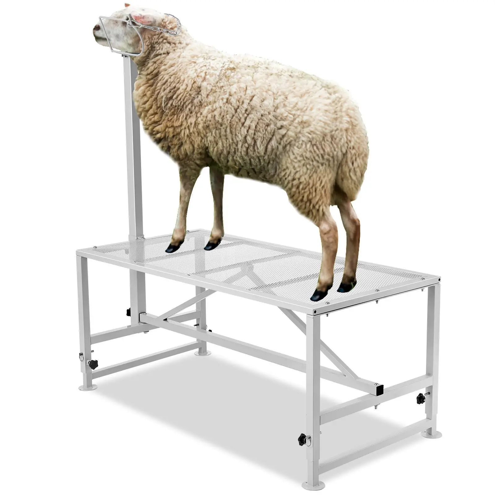 【summerfinds】VEVOR Goat & Sheep Stand, 47x23 inch Livestock Stand, Metal Livestock Milking and Shearing Stand 21" to 33" Adjustable Height, with Headpiece and Nose Loop, 500lbs Loading Weight, White