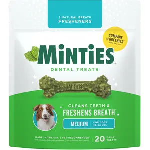 Minty Dental Chews for Dogs 🐶🌿 20ct Vet‑Recommended Treats Clean Teeth & Freshen Breath