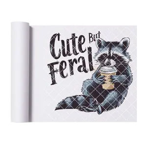 Cute raccoon coffee DTF film t shirt transfer