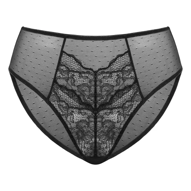 HSIA Enchante Floral Lace Sheer Mesh Back Bikini Underwear Matching Panty