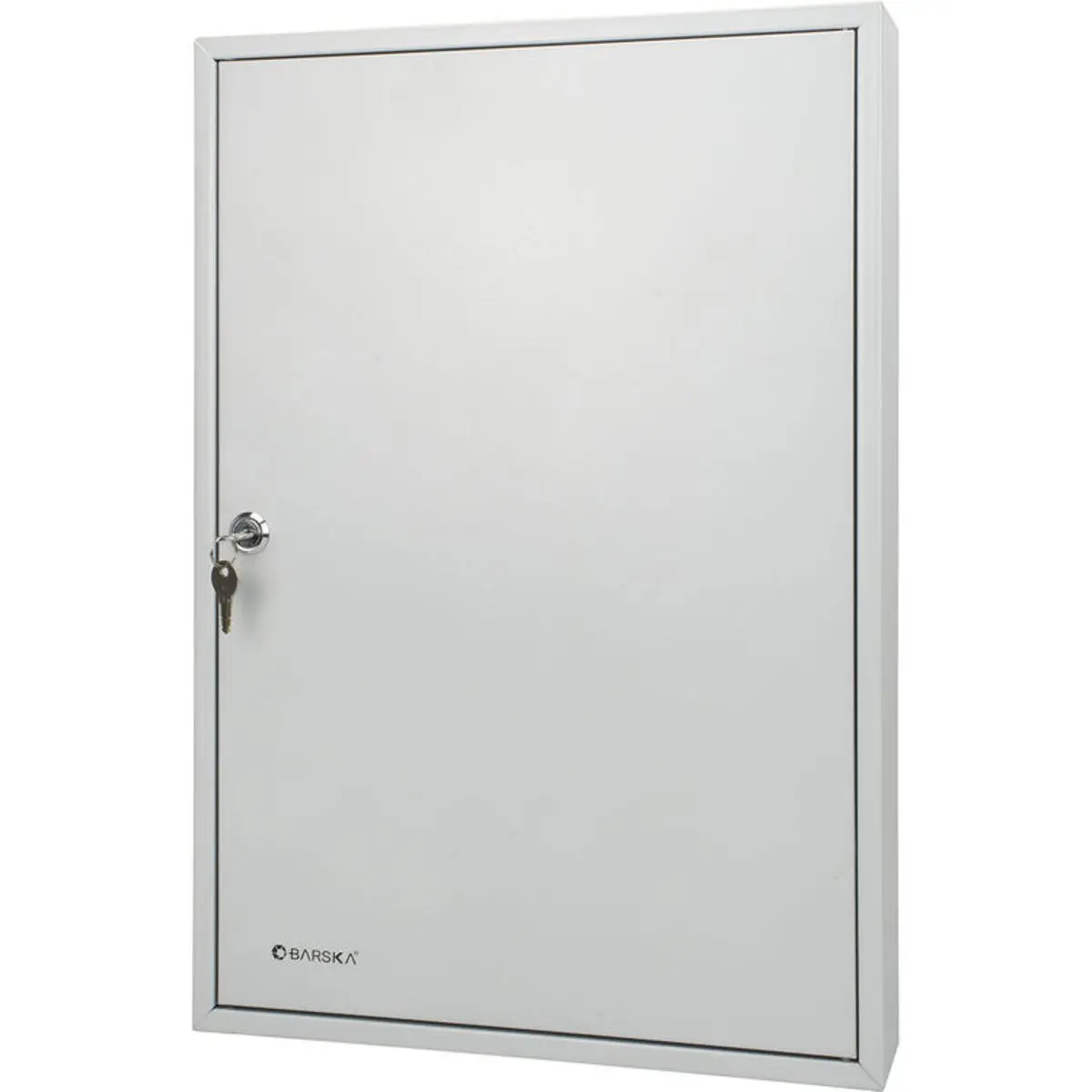 Barska Rectangular Metal 100-Position Key Cabinet with Wall Mount, Key Lock, Locking Door, Gray