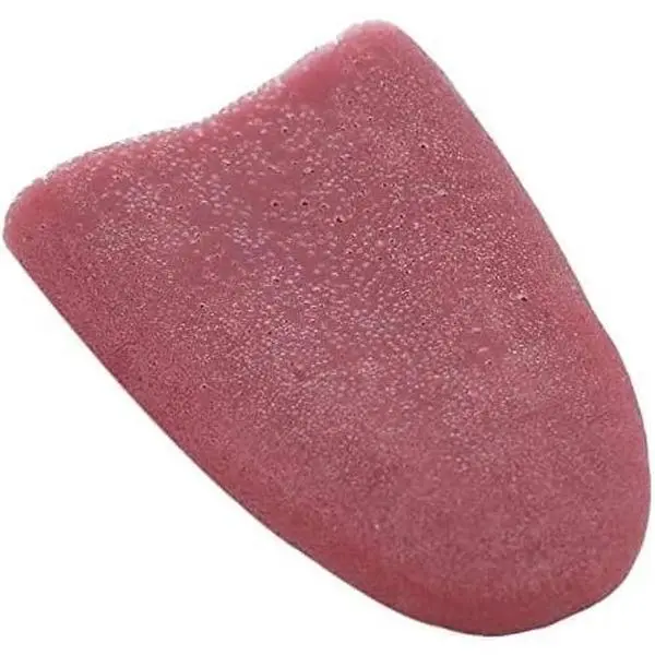 Realistic Fake Tongue Gross Jokes Prank Magic Tricks Halloween Horrific Magicians Props Fashion Processing Novelty Props