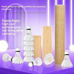 12-Pack Genuine Windproof Unlabeled White Badminton Shuttlecocks for Indoor and Outdoor Use, Stable Flight, Durable, King of Entertainment Shuttlecocks