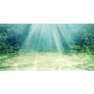 72x24 inches Aquarium Background Aquatic Plant Bubble Underwater Ocean Floor Fish Tank Background