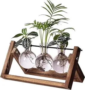 Plant Terrarium Propagation Station - 3 Glass Bulb Vases with Retro Wooden Stand Boho Desktop Planter for Hydroponics Home Garden Indoor Home Office Decor Unique Gifts for Women & Plant Lovers