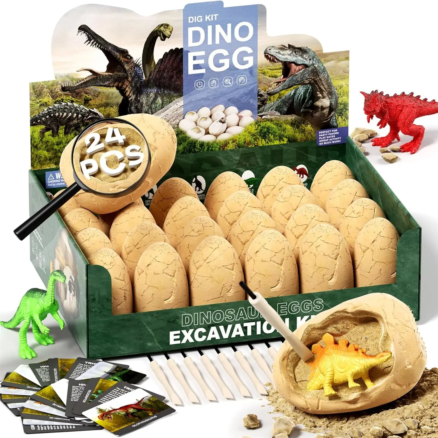 24 Dinosaur Eggs