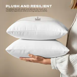【Buy 1 Get 1 Free】Throw Pillow Inserts, Set of 2 Lightweight Down Alternative Polyester Pillow, Couch Cushion, Sham Stuffer, Machine Washable. (White, 19x19)