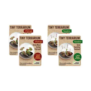 Tiny Terrarium - 2 Variety Carnivorous Plant Pack: 2 of Each