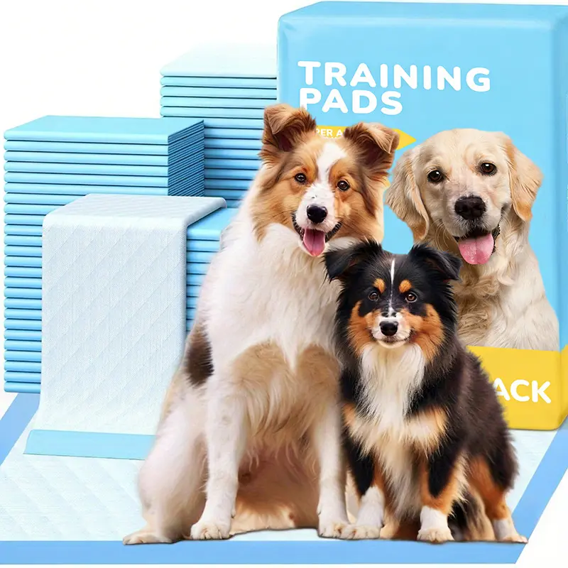 Puppy Pee Mat - X-Large 100-Pack Quick-Dry Leak-Proof Training Pads for Dog Potty Training, Absorbency, Urinary Care, Waterproof Support