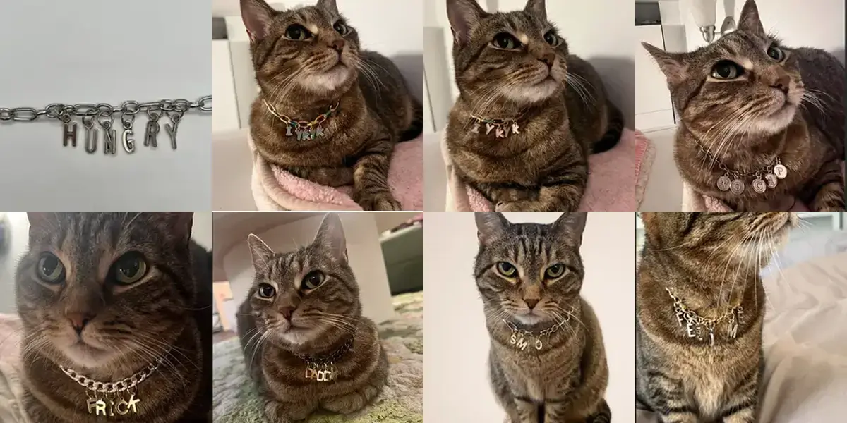 background preload poster image 