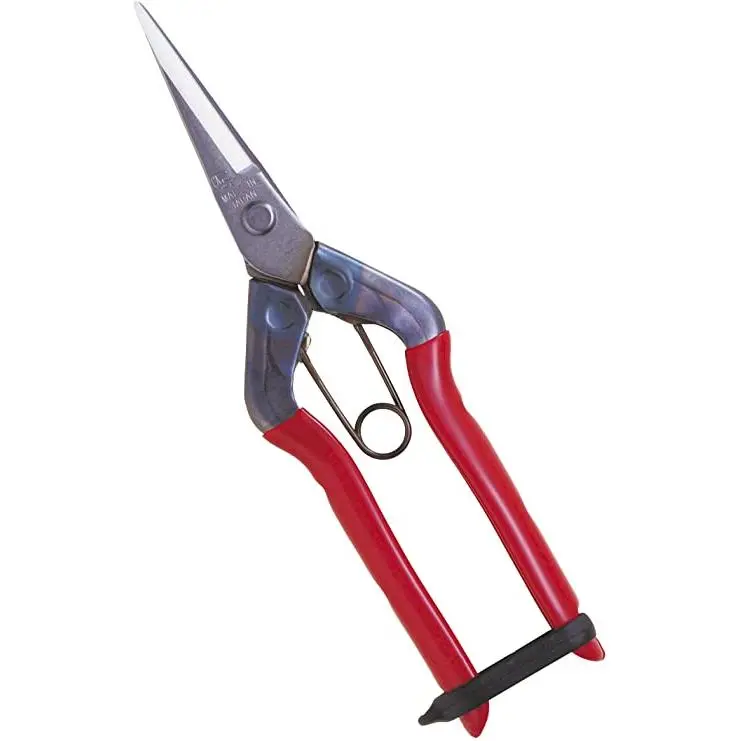 Chikamasa T-550S Scissors