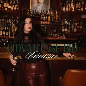 Bidvantage Bid Submission Package (USB Toolkit) Gov Con Templates, Book, & Training Tutorials Digital