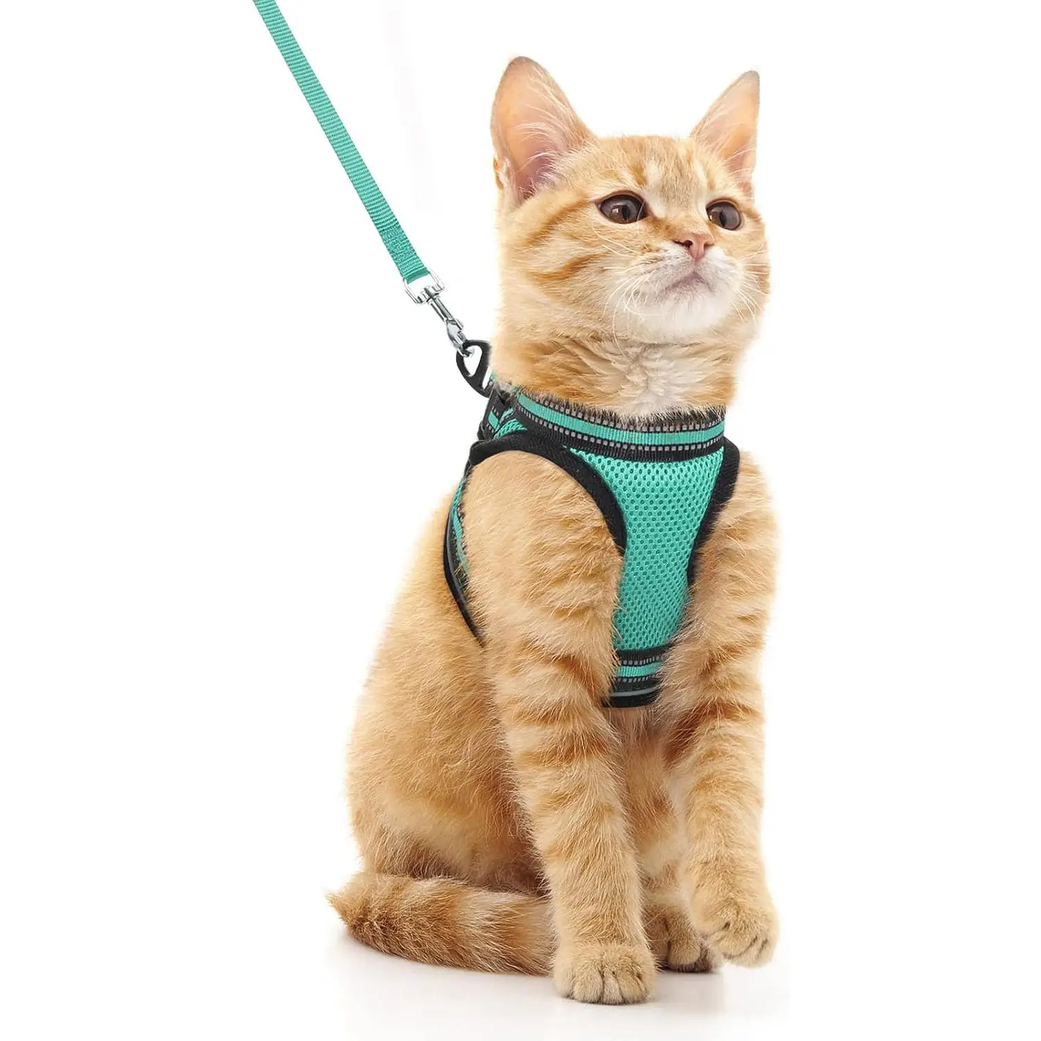 Cat Harness & Leash Set, 1 Set Adjustable Soft Cat Vest with Reflective Strip, Comfortable Outdoor Vest for Cats, Pet Supplies