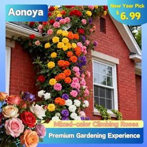 300/1000Pcs Rainbow Roses – Beginner Friendly, Stunning Summer BloomsTransform Walls into Flower CascadesFast Growing, High Sprout RateGarden & Balcony Must-HaveGrow Your Own Rose Wall