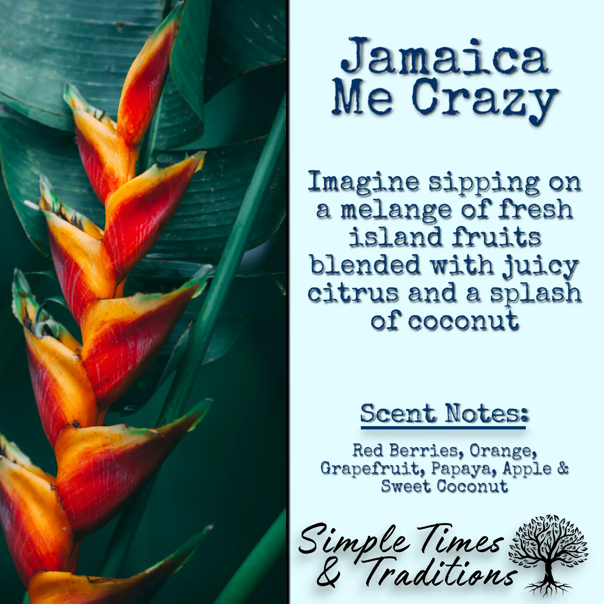 Jamaica Me Crazy