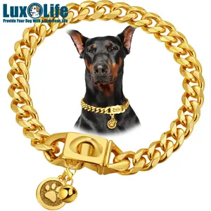 10mm Gold Stainless Steel Heavy-Duty Dog Collar with Quick-Release Buckle, Round Pendant & Bell – Adjustable 10"-24" for Small, Medium & Large Dogs