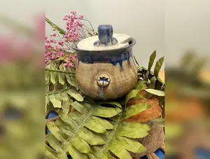 Dragonfly button  Honey pot/ sugar jar.