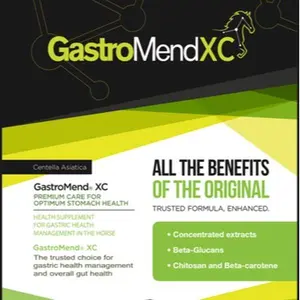 SynNutra GastroMend XC, 100% Natural Equine Stomach Health for Horses, Promotes Healing & Prevention of Ulcers, Highly Potent & Effective, 30 Servings