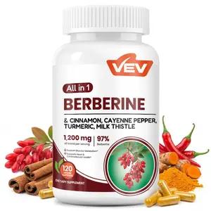 VEV Berberine Supplement 120 Capsules with Ceylon Cinnamon, Cayenne Pepper, Turmeric, Milk Thistle, Vegan & Non-GMO