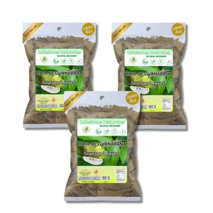 VIRAL 3 Pack Special Bundle Whole Dried Graviola Soursop Leaves 4 oz 113g Per Bag Hoja De Guanabana 100% All Natural Fresh Tea From Mexico Traditional Beverage