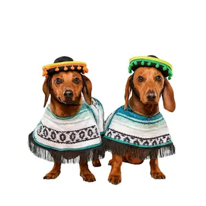 Poncho Variety Starter Pack