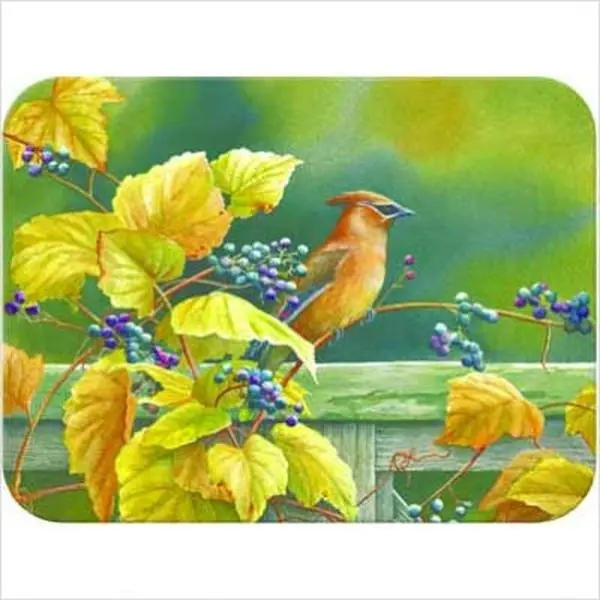 McGowan TT93021 Tuftop Cedar Waxwing Small Chopping Board - Kitchen Cheese Prep Glass-Safe Cutting Board
